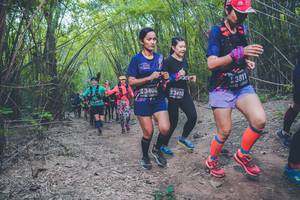 BIB: 3811, 3408, 3410
                            <button type="button" onclick="openModal(4424659)" class="btn btn-primary btn-sm float-right btn-popup" data-toggle="modal" data-target=".modal-high-quality">
                        <i class="fas fa-shopping-cart"></i> Add to Cart
                    </button>
                                            <button type="button" onclick="isThisMe(4424659, true)" class="btn btn-success btn-sm float-right btn-popup btn-isme hidden" data-toggle="tooltip" data-placement="bottom" title="นี่คือรูปของคุณใช่ไหม คลิกที่นี่เพื่อเอาเข้าอัลบั้ม">
                        <i class="fas fa-plus"></i> Add to album
                    </button>
                    <button type="button" onclick="isThisMe(4424659, false)" class="btn btn-warning btn-sm float-right btn-popup btn-isnotme hidden">
                        <i class="fas fa-ban"></i> Remove from album
                    </button>