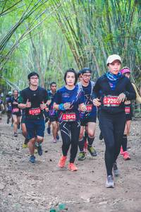 BIB: 7260, 124, 7353, 486, 2643
                            <button type="button" onclick="openModal(4470865)" class="btn btn-primary btn-sm float-right btn-popup" data-toggle="modal" data-target=".modal-high-quality">
                        <i class="fas fa-shopping-cart"></i> Add to Cart
                    </button>
                                            <button type="button" onclick="isThisMe(4470865, true)" class="btn btn-success btn-sm float-right btn-popup btn-isme hidden" data-toggle="tooltip" data-placement="bottom" title="นี่คือรูปของคุณใช่ไหม คลิกที่นี่เพื่อเอาเข้าอัลบั้ม">
                        <i class="fas fa-plus"></i> Add to album
                    </button>
                    <button type="button" onclick="isThisMe(4470865, false)" class="btn btn-warning btn-sm float-right btn-popup btn-isnotme hidden">
                        <i class="fas fa-ban"></i> Remove from album
                    </button>