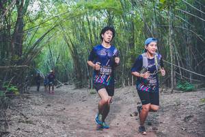 BIB: 3581, 403
                            <button type="button" onclick="openModal(4423539)" class="btn btn-primary btn-sm float-right btn-popup" data-toggle="modal" data-target=".modal-high-quality">
                        <i class="fas fa-shopping-cart"></i> Add to Cart
                    </button>
                                            <button type="button" onclick="isThisMe(4423539, true)" class="btn btn-success btn-sm float-right btn-popup btn-isme hidden" data-toggle="tooltip" data-placement="bottom" title="นี่คือรูปของคุณใช่ไหม คลิกที่นี่เพื่อเอาเข้าอัลบั้ม">
                        <i class="fas fa-plus"></i> Add to album
                    </button>
                    <button type="button" onclick="isThisMe(4423539, false)" class="btn btn-warning btn-sm float-right btn-popup btn-isnotme hidden">
                        <i class="fas fa-ban"></i> Remove from album
                    </button>