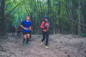 BIB: 
                            <button type="button" onclick="openModal(4423193)" class="btn btn-primary btn-sm float-right btn-popup" data-toggle="modal" data-target=".modal-high-quality">
                        <i class="fas fa-shopping-cart"></i> Add to Cart
                    </button>
                                            <button type="button" onclick="isThisMe(4423193, true)" class="btn btn-success btn-sm float-right btn-popup btn-isme hidden" data-toggle="tooltip" data-placement="bottom" title="นี่คือรูปของคุณใช่ไหม คลิกที่นี่เพื่อเอาเข้าอัลบั้ม">
                        <i class="fas fa-plus"></i> Add to album
                    </button>
                    <button type="button" onclick="isThisMe(4423193, false)" class="btn btn-warning btn-sm float-right btn-popup btn-isnotme hidden">
                        <i class="fas fa-ban"></i> Remove from album
                    </button>