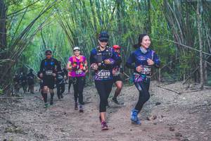 BIB: 329, 4394, 3052, 3270
                            <button type="button" onclick="openModal(4423922)" class="btn btn-primary btn-sm float-right btn-popup" data-toggle="modal" data-target=".modal-high-quality">
                        <i class="fas fa-shopping-cart"></i> Add to Cart
                    </button>
                                            <button type="button" onclick="isThisMe(4423922, true)" class="btn btn-success btn-sm float-right btn-popup btn-isme hidden" data-toggle="tooltip" data-placement="bottom" title="นี่คือรูปของคุณใช่ไหม คลิกที่นี่เพื่อเอาเข้าอัลบั้ม">
                        <i class="fas fa-plus"></i> Add to album
                    </button>
                    <button type="button" onclick="isThisMe(4423922, false)" class="btn btn-warning btn-sm float-right btn-popup btn-isnotme hidden">
                        <i class="fas fa-ban"></i> Remove from album
                    </button>