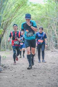BIB: 3977, 2727, 3618, 
                            <button type="button" onclick="openModal(4513364)" class="btn btn-primary btn-sm float-right btn-popup" data-toggle="modal" data-target=".modal-high-quality">
                        <i class="fas fa-shopping-cart"></i> Add to Cart
                    </button>
                                            <button type="button" onclick="isThisMe(4513364, true)" class="btn btn-success btn-sm float-right btn-popup btn-isme hidden" data-toggle="tooltip" data-placement="bottom" title="นี่คือรูปของคุณใช่ไหม คลิกที่นี่เพื่อเอาเข้าอัลบั้ม">
                        <i class="fas fa-plus"></i> Add to album
                    </button>
                    <button type="button" onclick="isThisMe(4513364, false)" class="btn btn-warning btn-sm float-right btn-popup btn-isnotme hidden">
                        <i class="fas fa-ban"></i> Remove from album
                    </button>