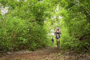 BIB: 301
                            <button type="button" onclick="openModal(4420670)" class="btn btn-primary btn-sm float-right btn-popup" data-toggle="modal" data-target=".modal-high-quality">
                        <i class="fas fa-shopping-cart"></i> Add to Cart
                    </button>
                                            <button type="button" onclick="isThisMe(4420670, true)" class="btn btn-success btn-sm float-right btn-popup btn-isme hidden" data-toggle="tooltip" data-placement="bottom" title="นี่คือรูปของคุณใช่ไหม คลิกที่นี่เพื่อเอาเข้าอัลบั้ม">
                        <i class="fas fa-plus"></i> Add to album
                    </button>
                    <button type="button" onclick="isThisMe(4420670, false)" class="btn btn-warning btn-sm float-right btn-popup btn-isnotme hidden">
                        <i class="fas fa-ban"></i> Remove from album
                    </button>