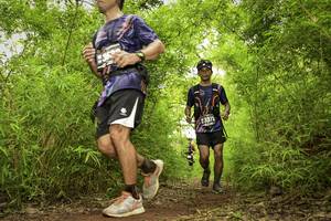 BIB: 3373
                            <button type="button" onclick="openModal(4420631)" class="btn btn-primary btn-sm float-right btn-popup" data-toggle="modal" data-target=".modal-high-quality">
                        <i class="fas fa-shopping-cart"></i> Add to Cart
                    </button>
                                            <button type="button" onclick="isThisMe(4420631, true)" class="btn btn-success btn-sm float-right btn-popup btn-isme hidden" data-toggle="tooltip" data-placement="bottom" title="นี่คือรูปของคุณใช่ไหม คลิกที่นี่เพื่อเอาเข้าอัลบั้ม">
                        <i class="fas fa-plus"></i> Add to album
                    </button>
                    <button type="button" onclick="isThisMe(4420631, false)" class="btn btn-warning btn-sm float-right btn-popup btn-isnotme hidden">
                        <i class="fas fa-ban"></i> Remove from album
                    </button>