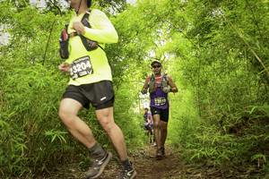 BIB: 3204, 3112
                            <button type="button" onclick="openModal(4421005)" class="btn btn-primary btn-sm float-right btn-popup" data-toggle="modal" data-target=".modal-high-quality">
                        <i class="fas fa-shopping-cart"></i> Add to Cart
                    </button>
                                            <button type="button" onclick="isThisMe(4421005, true)" class="btn btn-success btn-sm float-right btn-popup btn-isme hidden" data-toggle="tooltip" data-placement="bottom" title="นี่คือรูปของคุณใช่ไหม คลิกที่นี่เพื่อเอาเข้าอัลบั้ม">
                        <i class="fas fa-plus"></i> Add to album
                    </button>
                    <button type="button" onclick="isThisMe(4421005, false)" class="btn btn-warning btn-sm float-right btn-popup btn-isnotme hidden">
                        <i class="fas fa-ban"></i> Remove from album
                    </button>