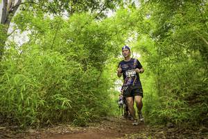 BIB: 435
                            <button type="button" onclick="openModal(4420648)" class="btn btn-primary btn-sm float-right btn-popup" data-toggle="modal" data-target=".modal-high-quality">
                        <i class="fas fa-shopping-cart"></i> Add to Cart
                    </button>
                                            <button type="button" onclick="isThisMe(4420648, true)" class="btn btn-success btn-sm float-right btn-popup btn-isme hidden" data-toggle="tooltip" data-placement="bottom" title="นี่คือรูปของคุณใช่ไหม คลิกที่นี่เพื่อเอาเข้าอัลบั้ม">
                        <i class="fas fa-plus"></i> Add to album
                    </button>
                    <button type="button" onclick="isThisMe(4420648, false)" class="btn btn-warning btn-sm float-right btn-popup btn-isnotme hidden">
                        <i class="fas fa-ban"></i> Remove from album
                    </button>