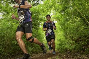 BIB: 3316
                            <button type="button" onclick="openModal(4420345)" class="btn btn-primary btn-sm float-right btn-popup" data-toggle="modal" data-target=".modal-high-quality">
                        <i class="fas fa-shopping-cart"></i> Add to Cart
                    </button>
                                            <button type="button" onclick="isThisMe(4420345, true)" class="btn btn-success btn-sm float-right btn-popup btn-isme hidden" data-toggle="tooltip" data-placement="bottom" title="นี่คือรูปของคุณใช่ไหม คลิกที่นี่เพื่อเอาเข้าอัลบั้ม">
                        <i class="fas fa-plus"></i> Add to album
                    </button>
                    <button type="button" onclick="isThisMe(4420345, false)" class="btn btn-warning btn-sm float-right btn-popup btn-isnotme hidden">
                        <i class="fas fa-ban"></i> Remove from album
                    </button>