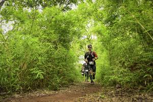 BIB: 
                            <button type="button" onclick="openModal(4420634)" class="btn btn-primary btn-sm float-right btn-popup" data-toggle="modal" data-target=".modal-high-quality">
                        <i class="fas fa-shopping-cart"></i> Add to Cart
                    </button>
                                            <button type="button" onclick="isThisMe(4420634, true)" class="btn btn-success btn-sm float-right btn-popup btn-isme hidden" data-toggle="tooltip" data-placement="bottom" title="นี่คือรูปของคุณใช่ไหม คลิกที่นี่เพื่อเอาเข้าอัลบั้ม">
                        <i class="fas fa-plus"></i> Add to album
                    </button>
                    <button type="button" onclick="isThisMe(4420634, false)" class="btn btn-warning btn-sm float-right btn-popup btn-isnotme hidden">
                        <i class="fas fa-ban"></i> Remove from album
                    </button>