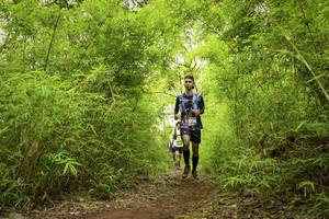 BIB: 3726, 
                            <button type="button" onclick="openModal(4420998)" class="btn btn-primary btn-sm float-right btn-popup" data-toggle="modal" data-target=".modal-high-quality">
                        <i class="fas fa-shopping-cart"></i> Add to Cart
                    </button>
                                            <button type="button" onclick="isThisMe(4420998, true)" class="btn btn-success btn-sm float-right btn-popup btn-isme hidden" data-toggle="tooltip" data-placement="bottom" title="นี่คือรูปของคุณใช่ไหม คลิกที่นี่เพื่อเอาเข้าอัลบั้ม">
                        <i class="fas fa-plus"></i> Add to album
                    </button>
                    <button type="button" onclick="isThisMe(4420998, false)" class="btn btn-warning btn-sm float-right btn-popup btn-isnotme hidden">
                        <i class="fas fa-ban"></i> Remove from album
                    </button>