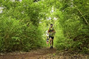 BIB: 
                            <button type="button" onclick="openModal(4420492)" class="btn btn-primary btn-sm float-right btn-popup" data-toggle="modal" data-target=".modal-high-quality">
                        <i class="fas fa-shopping-cart"></i> Add to Cart
                    </button>
                                            <button type="button" onclick="isThisMe(4420492, true)" class="btn btn-success btn-sm float-right btn-popup btn-isme hidden" data-toggle="tooltip" data-placement="bottom" title="นี่คือรูปของคุณใช่ไหม คลิกที่นี่เพื่อเอาเข้าอัลบั้ม">
                        <i class="fas fa-plus"></i> Add to album
                    </button>
                    <button type="button" onclick="isThisMe(4420492, false)" class="btn btn-warning btn-sm float-right btn-popup btn-isnotme hidden">
                        <i class="fas fa-ban"></i> Remove from album
                    </button>