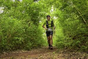 BIB: 3773, 
                            <button type="button" onclick="openModal(4420412)" class="btn btn-primary btn-sm float-right btn-popup" data-toggle="modal" data-target=".modal-high-quality">
                        <i class="fas fa-shopping-cart"></i> Add to Cart
                    </button>
                                            <button type="button" onclick="isThisMe(4420412, true)" class="btn btn-success btn-sm float-right btn-popup btn-isme hidden" data-toggle="tooltip" data-placement="bottom" title="นี่คือรูปของคุณใช่ไหม คลิกที่นี่เพื่อเอาเข้าอัลบั้ม">
                        <i class="fas fa-plus"></i> Add to album
                    </button>
                    <button type="button" onclick="isThisMe(4420412, false)" class="btn btn-warning btn-sm float-right btn-popup btn-isnotme hidden">
                        <i class="fas fa-ban"></i> Remove from album
                    </button>