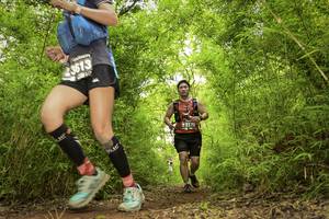 BIB: 3613, 3170
                            <button type="button" onclick="openModal(4420533)" class="btn btn-primary btn-sm float-right btn-popup" data-toggle="modal" data-target=".modal-high-quality">
                        <i class="fas fa-shopping-cart"></i> Add to Cart
                    </button>
                                            <button type="button" onclick="isThisMe(4420533, true)" class="btn btn-success btn-sm float-right btn-popup btn-isme hidden" data-toggle="tooltip" data-placement="bottom" title="นี่คือรูปของคุณใช่ไหม คลิกที่นี่เพื่อเอาเข้าอัลบั้ม">
                        <i class="fas fa-plus"></i> Add to album
                    </button>
                    <button type="button" onclick="isThisMe(4420533, false)" class="btn btn-warning btn-sm float-right btn-popup btn-isnotme hidden">
                        <i class="fas fa-ban"></i> Remove from album
                    </button>