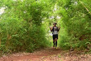 BIB: 
                            <button type="button" onclick="openModal(4266781)" class="btn btn-primary btn-sm float-right btn-popup" data-toggle="modal" data-target=".modal-high-quality">
                        <i class="fas fa-shopping-cart"></i> Add to Cart
                    </button>
                                            <button type="button" onclick="isThisMe(4266781, true)" class="btn btn-success btn-sm float-right btn-popup btn-isme hidden" data-toggle="tooltip" data-placement="bottom" title="นี่คือรูปของคุณใช่ไหม คลิกที่นี่เพื่อเอาเข้าอัลบั้ม">
                        <i class="fas fa-plus"></i> Add to album
                    </button>
                    <button type="button" onclick="isThisMe(4266781, false)" class="btn btn-warning btn-sm float-right btn-popup btn-isnotme hidden">
                        <i class="fas fa-ban"></i> Remove from album
                    </button>