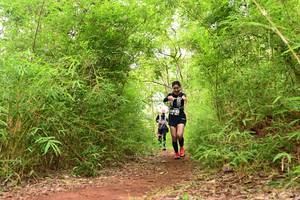 BIB: 
                            <button type="button" onclick="openModal(4266860)" class="btn btn-primary btn-sm float-right btn-popup" data-toggle="modal" data-target=".modal-high-quality">
                        <i class="fas fa-shopping-cart"></i> Add to Cart
                    </button>
                                            <button type="button" onclick="isThisMe(4266860, true)" class="btn btn-success btn-sm float-right btn-popup btn-isme hidden" data-toggle="tooltip" data-placement="bottom" title="นี่คือรูปของคุณใช่ไหม คลิกที่นี่เพื่อเอาเข้าอัลบั้ม">
                        <i class="fas fa-plus"></i> Add to album
                    </button>
                    <button type="button" onclick="isThisMe(4266860, false)" class="btn btn-warning btn-sm float-right btn-popup btn-isnotme hidden">
                        <i class="fas fa-ban"></i> Remove from album
                    </button>