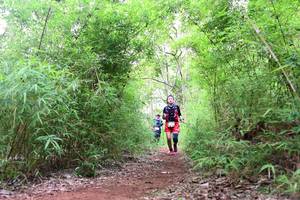 BIB: 
                            <button type="button" onclick="openModal(4264948)" class="btn btn-primary btn-sm float-right btn-popup" data-toggle="modal" data-target=".modal-high-quality">
                        <i class="fas fa-shopping-cart"></i> Add to Cart
                    </button>
                                            <button type="button" onclick="isThisMe(4264948, true)" class="btn btn-success btn-sm float-right btn-popup btn-isme hidden" data-toggle="tooltip" data-placement="bottom" title="นี่คือรูปของคุณใช่ไหม คลิกที่นี่เพื่อเอาเข้าอัลบั้ม">
                        <i class="fas fa-plus"></i> Add to album
                    </button>
                    <button type="button" onclick="isThisMe(4264948, false)" class="btn btn-warning btn-sm float-right btn-popup btn-isnotme hidden">
                        <i class="fas fa-ban"></i> Remove from album
                    </button>