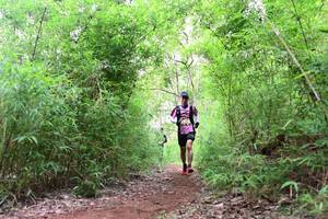 BIB: 
                            <button type="button" onclick="openModal(4265222)" class="btn btn-primary btn-sm float-right btn-popup" data-toggle="modal" data-target=".modal-high-quality">
                        <i class="fas fa-shopping-cart"></i> Add to Cart
                    </button>
                                            <button type="button" onclick="isThisMe(4265222, true)" class="btn btn-success btn-sm float-right btn-popup btn-isme hidden" data-toggle="tooltip" data-placement="bottom" title="นี่คือรูปของคุณใช่ไหม คลิกที่นี่เพื่อเอาเข้าอัลบั้ม">
                        <i class="fas fa-plus"></i> Add to album
                    </button>
                    <button type="button" onclick="isThisMe(4265222, false)" class="btn btn-warning btn-sm float-right btn-popup btn-isnotme hidden">
                        <i class="fas fa-ban"></i> Remove from album
                    </button>