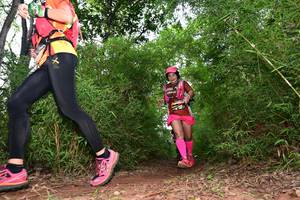 BIB: 
                            <button type="button" onclick="openModal(4264215)" class="btn btn-primary btn-sm float-right btn-popup" data-toggle="modal" data-target=".modal-high-quality">
                        <i class="fas fa-shopping-cart"></i> Add to Cart
                    </button>
                                            <button type="button" onclick="isThisMe(4264215, true)" class="btn btn-success btn-sm float-right btn-popup btn-isme hidden" data-toggle="tooltip" data-placement="bottom" title="นี่คือรูปของคุณใช่ไหม คลิกที่นี่เพื่อเอาเข้าอัลบั้ม">
                        <i class="fas fa-plus"></i> Add to album
                    </button>
                    <button type="button" onclick="isThisMe(4264215, false)" class="btn btn-warning btn-sm float-right btn-popup btn-isnotme hidden">
                        <i class="fas fa-ban"></i> Remove from album
                    </button>