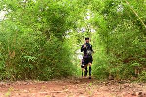 BIB: 
                            <button type="button" onclick="openModal(4268370)" class="btn btn-primary btn-sm float-right btn-popup" data-toggle="modal" data-target=".modal-high-quality">
                        <i class="fas fa-shopping-cart"></i> Add to Cart
                    </button>
                                            <button type="button" onclick="isThisMe(4268370, true)" class="btn btn-success btn-sm float-right btn-popup btn-isme hidden" data-toggle="tooltip" data-placement="bottom" title="นี่คือรูปของคุณใช่ไหม คลิกที่นี่เพื่อเอาเข้าอัลบั้ม">
                        <i class="fas fa-plus"></i> Add to album
                    </button>
                    <button type="button" onclick="isThisMe(4268370, false)" class="btn btn-warning btn-sm float-right btn-popup btn-isnotme hidden">
                        <i class="fas fa-ban"></i> Remove from album
                    </button>