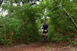 BIB: 
                            <button type="button" onclick="openModal(4264629)" class="btn btn-primary btn-sm float-right btn-popup" data-toggle="modal" data-target=".modal-high-quality">
                        <i class="fas fa-shopping-cart"></i> Add to Cart
                    </button>
                                            <button type="button" onclick="isThisMe(4264629, true)" class="btn btn-success btn-sm float-right btn-popup btn-isme hidden" data-toggle="tooltip" data-placement="bottom" title="นี่คือรูปของคุณใช่ไหม คลิกที่นี่เพื่อเอาเข้าอัลบั้ม">
                        <i class="fas fa-plus"></i> Add to album
                    </button>
                    <button type="button" onclick="isThisMe(4264629, false)" class="btn btn-warning btn-sm float-right btn-popup btn-isnotme hidden">
                        <i class="fas fa-ban"></i> Remove from album
                    </button>