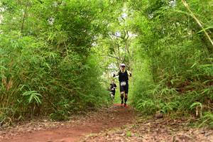 BIB: 14005
                            <button type="button" onclick="openModal(4266829)" class="btn btn-primary btn-sm float-right btn-popup" data-toggle="modal" data-target=".modal-high-quality">
                        <i class="fas fa-shopping-cart"></i> Add to Cart
                    </button>
                                            <button type="button" onclick="isThisMe(4266829, true)" class="btn btn-success btn-sm float-right btn-popup btn-isme hidden" data-toggle="tooltip" data-placement="bottom" title="นี่คือรูปของคุณใช่ไหม คลิกที่นี่เพื่อเอาเข้าอัลบั้ม">
                        <i class="fas fa-plus"></i> Add to album
                    </button>
                    <button type="button" onclick="isThisMe(4266829, false)" class="btn btn-warning btn-sm float-right btn-popup btn-isnotme hidden">
                        <i class="fas fa-ban"></i> Remove from album
                    </button>