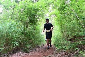 BIB: 
                            <button type="button" onclick="openModal(4264989)" class="btn btn-primary btn-sm float-right btn-popup" data-toggle="modal" data-target=".modal-high-quality">
                        <i class="fas fa-shopping-cart"></i> Add to Cart
                    </button>
                                            <button type="button" onclick="isThisMe(4264989, true)" class="btn btn-success btn-sm float-right btn-popup btn-isme hidden" data-toggle="tooltip" data-placement="bottom" title="นี่คือรูปของคุณใช่ไหม คลิกที่นี่เพื่อเอาเข้าอัลบั้ม">
                        <i class="fas fa-plus"></i> Add to album
                    </button>
                    <button type="button" onclick="isThisMe(4264989, false)" class="btn btn-warning btn-sm float-right btn-popup btn-isnotme hidden">
                        <i class="fas fa-ban"></i> Remove from album
                    </button>