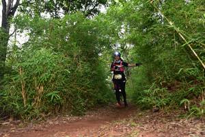 BIB: 
                            <button type="button" onclick="openModal(4262812)" class="btn btn-primary btn-sm float-right btn-popup" data-toggle="modal" data-target=".modal-high-quality">
                        <i class="fas fa-shopping-cart"></i> Add to Cart
                    </button>
                                            <button type="button" onclick="isThisMe(4262812, true)" class="btn btn-success btn-sm float-right btn-popup btn-isme hidden" data-toggle="tooltip" data-placement="bottom" title="นี่คือรูปของคุณใช่ไหม คลิกที่นี่เพื่อเอาเข้าอัลบั้ม">
                        <i class="fas fa-plus"></i> Add to album
                    </button>
                    <button type="button" onclick="isThisMe(4262812, false)" class="btn btn-warning btn-sm float-right btn-popup btn-isnotme hidden">
                        <i class="fas fa-ban"></i> Remove from album
                    </button>