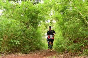 BIB: 3910
                            <button type="button" onclick="openModal(4268864)" class="btn btn-primary btn-sm float-right btn-popup" data-toggle="modal" data-target=".modal-high-quality">
                        <i class="fas fa-shopping-cart"></i> Add to Cart
                    </button>
                                            <button type="button" onclick="isThisMe(4268864, true)" class="btn btn-success btn-sm float-right btn-popup btn-isme hidden" data-toggle="tooltip" data-placement="bottom" title="นี่คือรูปของคุณใช่ไหม คลิกที่นี่เพื่อเอาเข้าอัลบั้ม">
                        <i class="fas fa-plus"></i> Add to album
                    </button>
                    <button type="button" onclick="isThisMe(4268864, false)" class="btn btn-warning btn-sm float-right btn-popup btn-isnotme hidden">
                        <i class="fas fa-ban"></i> Remove from album
                    </button>