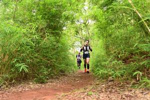 BIB: 
                            <button type="button" onclick="openModal(4266856)" class="btn btn-primary btn-sm float-right btn-popup" data-toggle="modal" data-target=".modal-high-quality">
                        <i class="fas fa-shopping-cart"></i> Add to Cart
                    </button>
                                            <button type="button" onclick="isThisMe(4266856, true)" class="btn btn-success btn-sm float-right btn-popup btn-isme hidden" data-toggle="tooltip" data-placement="bottom" title="นี่คือรูปของคุณใช่ไหม คลิกที่นี่เพื่อเอาเข้าอัลบั้ม">
                        <i class="fas fa-plus"></i> Add to album
                    </button>
                    <button type="button" onclick="isThisMe(4266856, false)" class="btn btn-warning btn-sm float-right btn-popup btn-isnotme hidden">
                        <i class="fas fa-ban"></i> Remove from album
                    </button>