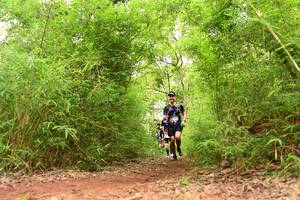 BIB: 
                            <button type="button" onclick="openModal(4290555)" class="btn btn-primary btn-sm float-right btn-popup" data-toggle="modal" data-target=".modal-high-quality">
                        <i class="fas fa-shopping-cart"></i> Add to Cart
                    </button>
                                            <button type="button" onclick="isThisMe(4290555, true)" class="btn btn-success btn-sm float-right btn-popup btn-isme hidden" data-toggle="tooltip" data-placement="bottom" title="นี่คือรูปของคุณใช่ไหม คลิกที่นี่เพื่อเอาเข้าอัลบั้ม">
                        <i class="fas fa-plus"></i> Add to album
                    </button>
                    <button type="button" onclick="isThisMe(4290555, false)" class="btn btn-warning btn-sm float-right btn-popup btn-isnotme hidden">
                        <i class="fas fa-ban"></i> Remove from album
                    </button>