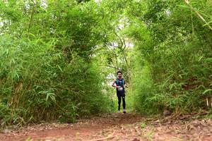 BIB: 
                            <button type="button" onclick="openModal(4266694)" class="btn btn-primary btn-sm float-right btn-popup" data-toggle="modal" data-target=".modal-high-quality">
                        <i class="fas fa-shopping-cart"></i> Add to Cart
                    </button>
                                            <button type="button" onclick="isThisMe(4266694, true)" class="btn btn-success btn-sm float-right btn-popup btn-isme hidden" data-toggle="tooltip" data-placement="bottom" title="นี่คือรูปของคุณใช่ไหม คลิกที่นี่เพื่อเอาเข้าอัลบั้ม">
                        <i class="fas fa-plus"></i> Add to album
                    </button>
                    <button type="button" onclick="isThisMe(4266694, false)" class="btn btn-warning btn-sm float-right btn-popup btn-isnotme hidden">
                        <i class="fas fa-ban"></i> Remove from album
                    </button>