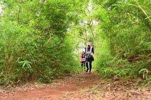 BIB: 
                            <button type="button" onclick="openModal(4266869)" class="btn btn-primary btn-sm float-right btn-popup" data-toggle="modal" data-target=".modal-high-quality">
                        <i class="fas fa-shopping-cart"></i> Add to Cart
                    </button>
                                            <button type="button" onclick="isThisMe(4266869, true)" class="btn btn-success btn-sm float-right btn-popup btn-isme hidden" data-toggle="tooltip" data-placement="bottom" title="นี่คือรูปของคุณใช่ไหม คลิกที่นี่เพื่อเอาเข้าอัลบั้ม">
                        <i class="fas fa-plus"></i> Add to album
                    </button>
                    <button type="button" onclick="isThisMe(4266869, false)" class="btn btn-warning btn-sm float-right btn-popup btn-isnotme hidden">
                        <i class="fas fa-ban"></i> Remove from album
                    </button>