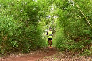 BIB: 
                            <button type="button" onclick="openModal(4266619)" class="btn btn-primary btn-sm float-right btn-popup" data-toggle="modal" data-target=".modal-high-quality">
                        <i class="fas fa-shopping-cart"></i> Add to Cart
                    </button>
                                            <button type="button" onclick="isThisMe(4266619, true)" class="btn btn-success btn-sm float-right btn-popup btn-isme hidden" data-toggle="tooltip" data-placement="bottom" title="นี่คือรูปของคุณใช่ไหม คลิกที่นี่เพื่อเอาเข้าอัลบั้ม">
                        <i class="fas fa-plus"></i> Add to album
                    </button>
                    <button type="button" onclick="isThisMe(4266619, false)" class="btn btn-warning btn-sm float-right btn-popup btn-isnotme hidden">
                        <i class="fas fa-ban"></i> Remove from album
                    </button>