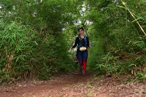 BIB: 
                            <button type="button" onclick="openModal(4262801)" class="btn btn-primary btn-sm float-right btn-popup" data-toggle="modal" data-target=".modal-high-quality">
                        <i class="fas fa-shopping-cart"></i> Add to Cart
                    </button>
                                            <button type="button" onclick="isThisMe(4262801, true)" class="btn btn-success btn-sm float-right btn-popup btn-isme hidden" data-toggle="tooltip" data-placement="bottom" title="นี่คือรูปของคุณใช่ไหม คลิกที่นี่เพื่อเอาเข้าอัลบั้ม">
                        <i class="fas fa-plus"></i> Add to album
                    </button>
                    <button type="button" onclick="isThisMe(4262801, false)" class="btn btn-warning btn-sm float-right btn-popup btn-isnotme hidden">
                        <i class="fas fa-ban"></i> Remove from album
                    </button>