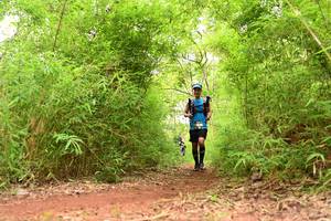 BIB: 
                            <button type="button" onclick="openModal(4298735)" class="btn btn-primary btn-sm float-right btn-popup" data-toggle="modal" data-target=".modal-high-quality">
                        <i class="fas fa-shopping-cart"></i> Add to Cart
                    </button>
                                            <button type="button" onclick="isThisMe(4298735, true)" class="btn btn-success btn-sm float-right btn-popup btn-isme hidden" data-toggle="tooltip" data-placement="bottom" title="นี่คือรูปของคุณใช่ไหม คลิกที่นี่เพื่อเอาเข้าอัลบั้ม">
                        <i class="fas fa-plus"></i> Add to album
                    </button>
                    <button type="button" onclick="isThisMe(4298735, false)" class="btn btn-warning btn-sm float-right btn-popup btn-isnotme hidden">
                        <i class="fas fa-ban"></i> Remove from album
                    </button>