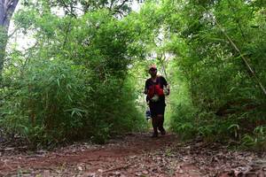 BIB: 
                            <button type="button" onclick="openModal(4264673)" class="btn btn-primary btn-sm float-right btn-popup" data-toggle="modal" data-target=".modal-high-quality">
                        <i class="fas fa-shopping-cart"></i> Add to Cart
                    </button>
                                            <button type="button" onclick="isThisMe(4264673, true)" class="btn btn-success btn-sm float-right btn-popup btn-isme hidden" data-toggle="tooltip" data-placement="bottom" title="นี่คือรูปของคุณใช่ไหม คลิกที่นี่เพื่อเอาเข้าอัลบั้ม">
                        <i class="fas fa-plus"></i> Add to album
                    </button>
                    <button type="button" onclick="isThisMe(4264673, false)" class="btn btn-warning btn-sm float-right btn-popup btn-isnotme hidden">
                        <i class="fas fa-ban"></i> Remove from album
                    </button>