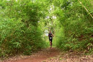 BIB: 
                            <button type="button" onclick="openModal(4266668)" class="btn btn-primary btn-sm float-right btn-popup" data-toggle="modal" data-target=".modal-high-quality">
                        <i class="fas fa-shopping-cart"></i> Add to Cart
                    </button>
                                            <button type="button" onclick="isThisMe(4266668, true)" class="btn btn-success btn-sm float-right btn-popup btn-isme hidden" data-toggle="tooltip" data-placement="bottom" title="นี่คือรูปของคุณใช่ไหม คลิกที่นี่เพื่อเอาเข้าอัลบั้ม">
                        <i class="fas fa-plus"></i> Add to album
                    </button>
                    <button type="button" onclick="isThisMe(4266668, false)" class="btn btn-warning btn-sm float-right btn-popup btn-isnotme hidden">
                        <i class="fas fa-ban"></i> Remove from album
                    </button>