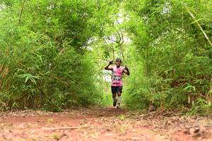 BIB: 
                            <button type="button" onclick="openModal(4268541)" class="btn btn-primary btn-sm float-right btn-popup" data-toggle="modal" data-target=".modal-high-quality">
                        <i class="fas fa-shopping-cart"></i> Add to Cart
                    </button>
                                            <button type="button" onclick="isThisMe(4268541, true)" class="btn btn-success btn-sm float-right btn-popup btn-isme hidden" data-toggle="tooltip" data-placement="bottom" title="นี่คือรูปของคุณใช่ไหม คลิกที่นี่เพื่อเอาเข้าอัลบั้ม">
                        <i class="fas fa-plus"></i> Add to album
                    </button>
                    <button type="button" onclick="isThisMe(4268541, false)" class="btn btn-warning btn-sm float-right btn-popup btn-isnotme hidden">
                        <i class="fas fa-ban"></i> Remove from album
                    </button>