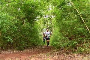 BIB: 
                            <button type="button" onclick="openModal(4266624)" class="btn btn-primary btn-sm float-right btn-popup" data-toggle="modal" data-target=".modal-high-quality">
                        <i class="fas fa-shopping-cart"></i> Add to Cart
                    </button>
                                            <button type="button" onclick="isThisMe(4266624, true)" class="btn btn-success btn-sm float-right btn-popup btn-isme hidden" data-toggle="tooltip" data-placement="bottom" title="นี่คือรูปของคุณใช่ไหม คลิกที่นี่เพื่อเอาเข้าอัลบั้ม">
                        <i class="fas fa-plus"></i> Add to album
                    </button>
                    <button type="button" onclick="isThisMe(4266624, false)" class="btn btn-warning btn-sm float-right btn-popup btn-isnotme hidden">
                        <i class="fas fa-ban"></i> Remove from album
                    </button>