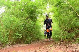 BIB: 
                            <button type="button" onclick="openModal(4302214)" class="btn btn-primary btn-sm float-right btn-popup" data-toggle="modal" data-target=".modal-high-quality">
                        <i class="fas fa-shopping-cart"></i> Add to Cart
                    </button>
                                            <button type="button" onclick="isThisMe(4302214, true)" class="btn btn-success btn-sm float-right btn-popup btn-isme hidden" data-toggle="tooltip" data-placement="bottom" title="นี่คือรูปของคุณใช่ไหม คลิกที่นี่เพื่อเอาเข้าอัลบั้ม">
                        <i class="fas fa-plus"></i> Add to album
                    </button>
                    <button type="button" onclick="isThisMe(4302214, false)" class="btn btn-warning btn-sm float-right btn-popup btn-isnotme hidden">
                        <i class="fas fa-ban"></i> Remove from album
                    </button>