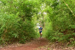 BIB: 
                            <button type="button" onclick="openModal(4266683)" class="btn btn-primary btn-sm float-right btn-popup" data-toggle="modal" data-target=".modal-high-quality">
                        <i class="fas fa-shopping-cart"></i> Add to Cart
                    </button>
                                            <button type="button" onclick="isThisMe(4266683, true)" class="btn btn-success btn-sm float-right btn-popup btn-isme hidden" data-toggle="tooltip" data-placement="bottom" title="นี่คือรูปของคุณใช่ไหม คลิกที่นี่เพื่อเอาเข้าอัลบั้ม">
                        <i class="fas fa-plus"></i> Add to album
                    </button>
                    <button type="button" onclick="isThisMe(4266683, false)" class="btn btn-warning btn-sm float-right btn-popup btn-isnotme hidden">
                        <i class="fas fa-ban"></i> Remove from album
                    </button>