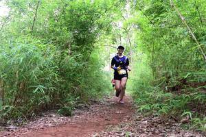 BIB: 
                            <button type="button" onclick="openModal(4264930)" class="btn btn-primary btn-sm float-right btn-popup" data-toggle="modal" data-target=".modal-high-quality">
                        <i class="fas fa-shopping-cart"></i> Add to Cart
                    </button>
                                            <button type="button" onclick="isThisMe(4264930, true)" class="btn btn-success btn-sm float-right btn-popup btn-isme hidden" data-toggle="tooltip" data-placement="bottom" title="นี่คือรูปของคุณใช่ไหม คลิกที่นี่เพื่อเอาเข้าอัลบั้ม">
                        <i class="fas fa-plus"></i> Add to album
                    </button>
                    <button type="button" onclick="isThisMe(4264930, false)" class="btn btn-warning btn-sm float-right btn-popup btn-isnotme hidden">
                        <i class="fas fa-ban"></i> Remove from album
                    </button>