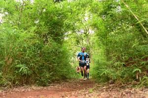 BIB: 
                            <button type="button" onclick="openModal(4268248)" class="btn btn-primary btn-sm float-right btn-popup" data-toggle="modal" data-target=".modal-high-quality">
                        <i class="fas fa-shopping-cart"></i> Add to Cart
                    </button>
                                            <button type="button" onclick="isThisMe(4268248, true)" class="btn btn-success btn-sm float-right btn-popup btn-isme hidden" data-toggle="tooltip" data-placement="bottom" title="นี่คือรูปของคุณใช่ไหม คลิกที่นี่เพื่อเอาเข้าอัลบั้ม">
                        <i class="fas fa-plus"></i> Add to album
                    </button>
                    <button type="button" onclick="isThisMe(4268248, false)" class="btn btn-warning btn-sm float-right btn-popup btn-isnotme hidden">
                        <i class="fas fa-ban"></i> Remove from album
                    </button>