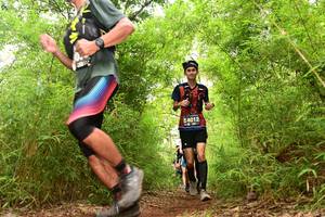 BIB: 4012
                            <button type="button" onclick="openModal(4291151)" class="btn btn-primary btn-sm float-right btn-popup" data-toggle="modal" data-target=".modal-high-quality">
                        <i class="fas fa-shopping-cart"></i> Add to Cart
                    </button>
                                            <button type="button" onclick="isThisMe(4291151, true)" class="btn btn-success btn-sm float-right btn-popup btn-isme hidden" data-toggle="tooltip" data-placement="bottom" title="นี่คือรูปของคุณใช่ไหม คลิกที่นี่เพื่อเอาเข้าอัลบั้ม">
                        <i class="fas fa-plus"></i> Add to album
                    </button>
                    <button type="button" onclick="isThisMe(4291151, false)" class="btn btn-warning btn-sm float-right btn-popup btn-isnotme hidden">
                        <i class="fas fa-ban"></i> Remove from album
                    </button>