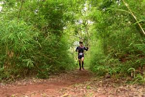 BIB: 
                            <button type="button" onclick="openModal(4266605)" class="btn btn-primary btn-sm float-right btn-popup" data-toggle="modal" data-target=".modal-high-quality">
                        <i class="fas fa-shopping-cart"></i> Add to Cart
                    </button>
                                            <button type="button" onclick="isThisMe(4266605, true)" class="btn btn-success btn-sm float-right btn-popup btn-isme hidden" data-toggle="tooltip" data-placement="bottom" title="นี่คือรูปของคุณใช่ไหม คลิกที่นี่เพื่อเอาเข้าอัลบั้ม">
                        <i class="fas fa-plus"></i> Add to album
                    </button>
                    <button type="button" onclick="isThisMe(4266605, false)" class="btn btn-warning btn-sm float-right btn-popup btn-isnotme hidden">
                        <i class="fas fa-ban"></i> Remove from album
                    </button>