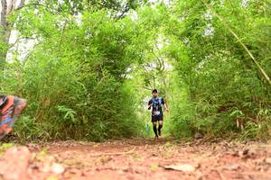 BIB: 
                            <button type="button" onclick="openModal(4268798)" class="btn btn-primary btn-sm float-right btn-popup" data-toggle="modal" data-target=".modal-high-quality">
                        <i class="fas fa-shopping-cart"></i> Add to Cart
                    </button>
                                            <button type="button" onclick="isThisMe(4268798, true)" class="btn btn-success btn-sm float-right btn-popup btn-isme hidden" data-toggle="tooltip" data-placement="bottom" title="นี่คือรูปของคุณใช่ไหม คลิกที่นี่เพื่อเอาเข้าอัลบั้ม">
                        <i class="fas fa-plus"></i> Add to album
                    </button>
                    <button type="button" onclick="isThisMe(4268798, false)" class="btn btn-warning btn-sm float-right btn-popup btn-isnotme hidden">
                        <i class="fas fa-ban"></i> Remove from album
                    </button>