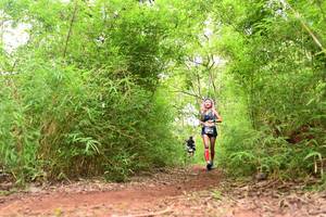 BIB: 
                            <button type="button" onclick="openModal(4297813)" class="btn btn-primary btn-sm float-right btn-popup" data-toggle="modal" data-target=".modal-high-quality">
                        <i class="fas fa-shopping-cart"></i> Add to Cart
                    </button>
                                            <button type="button" onclick="isThisMe(4297813, true)" class="btn btn-success btn-sm float-right btn-popup btn-isme hidden" data-toggle="tooltip" data-placement="bottom" title="นี่คือรูปของคุณใช่ไหม คลิกที่นี่เพื่อเอาเข้าอัลบั้ม">
                        <i class="fas fa-plus"></i> Add to album
                    </button>
                    <button type="button" onclick="isThisMe(4297813, false)" class="btn btn-warning btn-sm float-right btn-popup btn-isnotme hidden">
                        <i class="fas fa-ban"></i> Remove from album
                    </button>