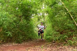 BIB: 
                            <button type="button" onclick="openModal(4266623)" class="btn btn-primary btn-sm float-right btn-popup" data-toggle="modal" data-target=".modal-high-quality">
                        <i class="fas fa-shopping-cart"></i> Add to Cart
                    </button>
                                            <button type="button" onclick="isThisMe(4266623, true)" class="btn btn-success btn-sm float-right btn-popup btn-isme hidden" data-toggle="tooltip" data-placement="bottom" title="นี่คือรูปของคุณใช่ไหม คลิกที่นี่เพื่อเอาเข้าอัลบั้ม">
                        <i class="fas fa-plus"></i> Add to album
                    </button>
                    <button type="button" onclick="isThisMe(4266623, false)" class="btn btn-warning btn-sm float-right btn-popup btn-isnotme hidden">
                        <i class="fas fa-ban"></i> Remove from album
                    </button>