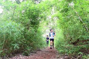 BIB: 
                            <button type="button" onclick="openModal(4264992)" class="btn btn-primary btn-sm float-right btn-popup" data-toggle="modal" data-target=".modal-high-quality">
                        <i class="fas fa-shopping-cart"></i> Add to Cart
                    </button>
                                            <button type="button" onclick="isThisMe(4264992, true)" class="btn btn-success btn-sm float-right btn-popup btn-isme hidden" data-toggle="tooltip" data-placement="bottom" title="นี่คือรูปของคุณใช่ไหม คลิกที่นี่เพื่อเอาเข้าอัลบั้ม">
                        <i class="fas fa-plus"></i> Add to album
                    </button>
                    <button type="button" onclick="isThisMe(4264992, false)" class="btn btn-warning btn-sm float-right btn-popup btn-isnotme hidden">
                        <i class="fas fa-ban"></i> Remove from album
                    </button>