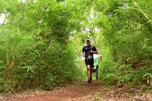 BIB: 
                            <button type="button" onclick="openModal(4268203)" class="btn btn-primary btn-sm float-right btn-popup" data-toggle="modal" data-target=".modal-high-quality">
                        <i class="fas fa-shopping-cart"></i> Add to Cart
                    </button>
                                            <button type="button" onclick="isThisMe(4268203, true)" class="btn btn-success btn-sm float-right btn-popup btn-isme hidden" data-toggle="tooltip" data-placement="bottom" title="นี่คือรูปของคุณใช่ไหม คลิกที่นี่เพื่อเอาเข้าอัลบั้ม">
                        <i class="fas fa-plus"></i> Add to album
                    </button>
                    <button type="button" onclick="isThisMe(4268203, false)" class="btn btn-warning btn-sm float-right btn-popup btn-isnotme hidden">
                        <i class="fas fa-ban"></i> Remove from album
                    </button>