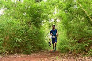 BIB: 3741
                            <button type="button" onclick="openModal(4268321)" class="btn btn-primary btn-sm float-right btn-popup" data-toggle="modal" data-target=".modal-high-quality">
                        <i class="fas fa-shopping-cart"></i> Add to Cart
                    </button>
                                            <button type="button" onclick="isThisMe(4268321, true)" class="btn btn-success btn-sm float-right btn-popup btn-isme hidden" data-toggle="tooltip" data-placement="bottom" title="นี่คือรูปของคุณใช่ไหม คลิกที่นี่เพื่อเอาเข้าอัลบั้ม">
                        <i class="fas fa-plus"></i> Add to album
                    </button>
                    <button type="button" onclick="isThisMe(4268321, false)" class="btn btn-warning btn-sm float-right btn-popup btn-isnotme hidden">
                        <i class="fas fa-ban"></i> Remove from album
                    </button>